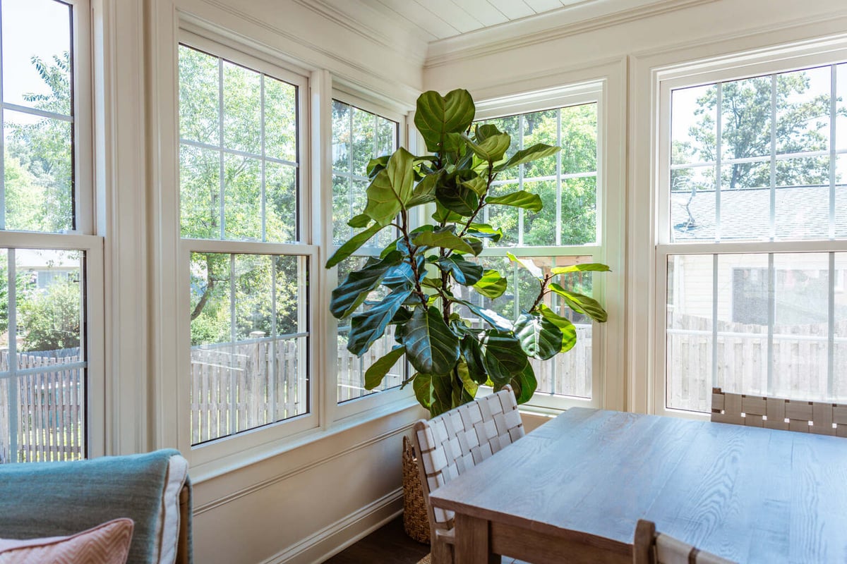Indoor plant and wooden table in sunroom addition by Anchor Remodel in Alexandria, VA